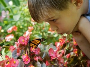 cute-boy-face-with-butterfly