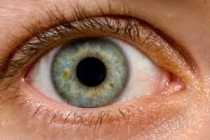 Eyes Integrate Visual Information Automatically
