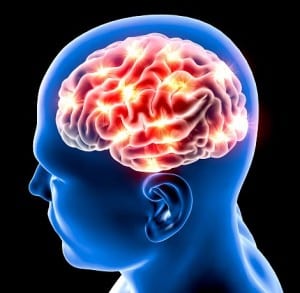 Studies Point to Decreased Brain Connectivity in Autism