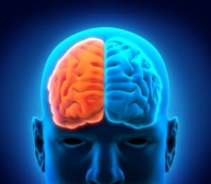 Right Brain Hemisphere Aids Stroke Recovery