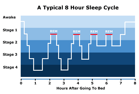 Stages of Sleep: What Happens in a Sleep Cycle