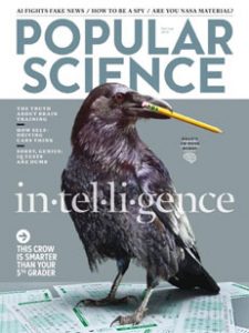 Can exercising the mind improve our abilities, or is it just another self-improvement fantasy?
