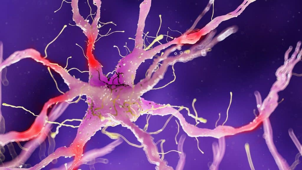 If There Was Ever a Time to Activate Your Vagus Nerve, It Is Now