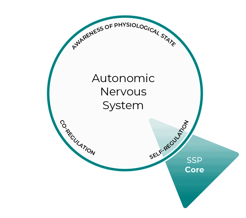 SSP Pathways The Safe and Sound Protocol Unyte