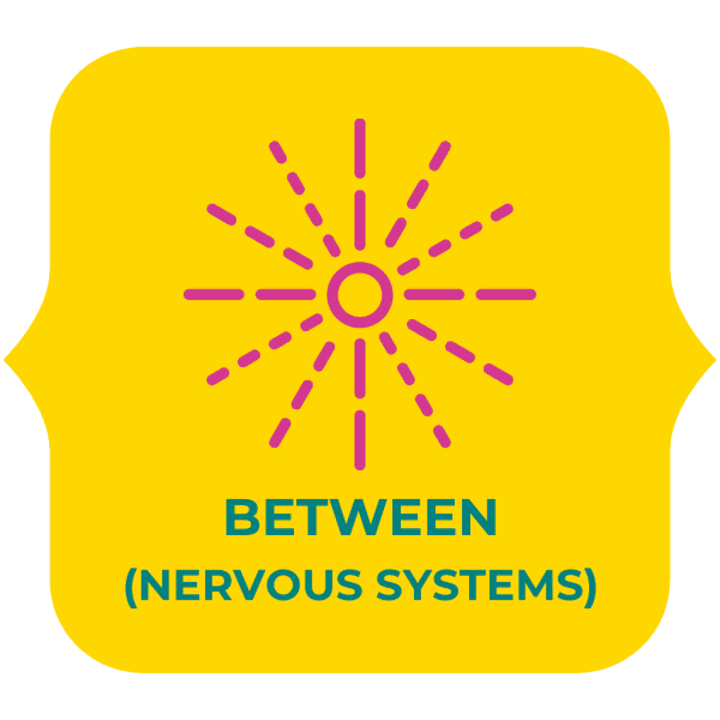Between (nervous systems)