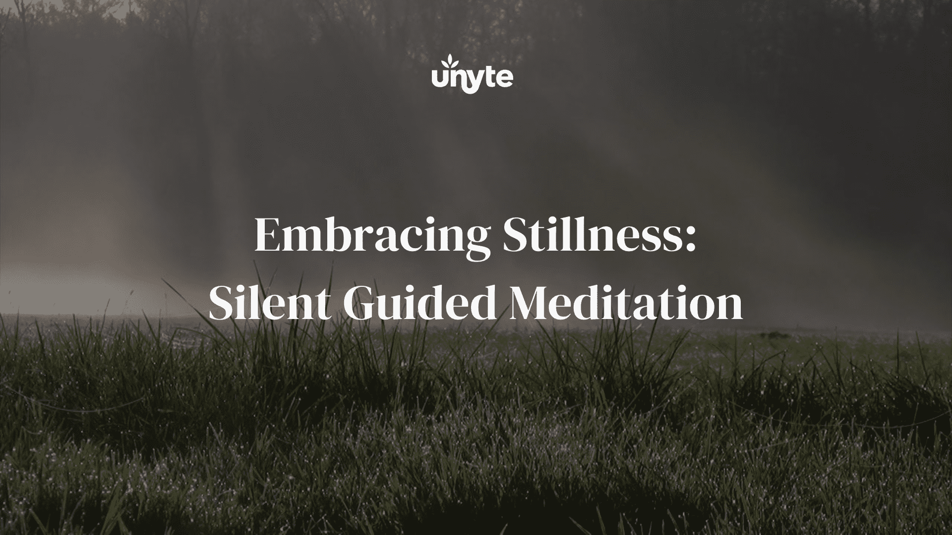 Embracing Stillness: Silent Guided Meditation - Unyte Integrated Listening