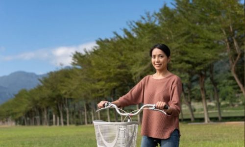 ssp-case-study-lissi ssp-case-study-lissi